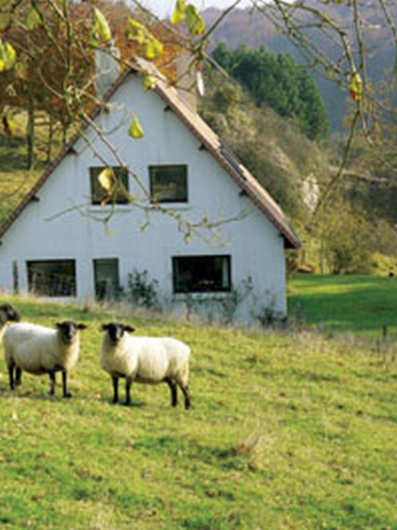 Chambre d'Hôtes les Champarts Tourville-la-Chapelle Exterior foto