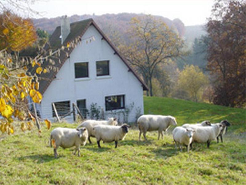 Chambre d'Hôtes les Champarts Tourville-la-Chapelle Exterior foto